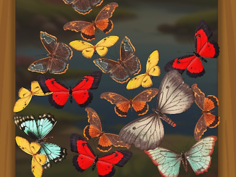 Merge Buterfly