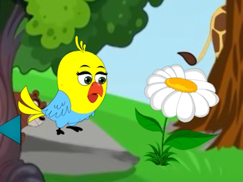 Bird Looking For Baby