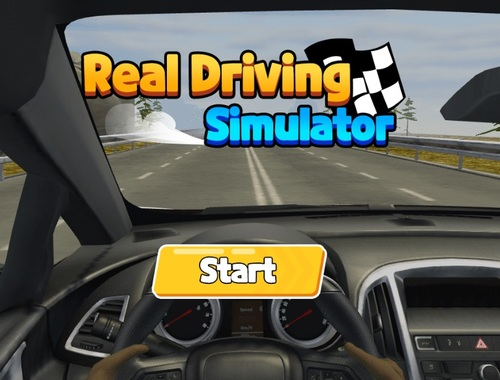 Real Driving Simulator