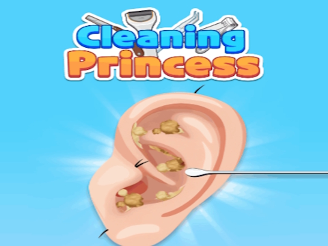 Cleaning Princess