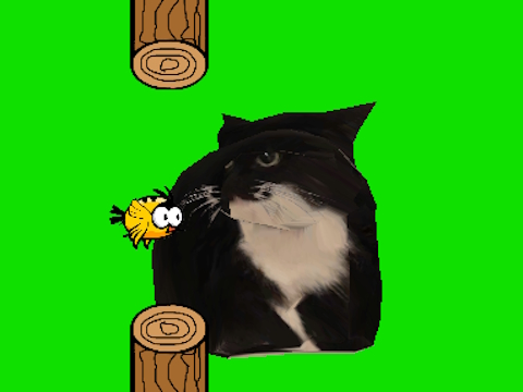 Flappy Bird Spinning oia oia Cat