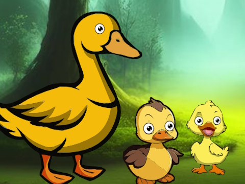 Duck Family Reach Pond