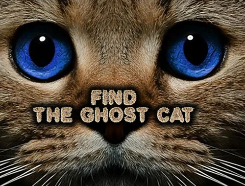 Find the Ghost Cat