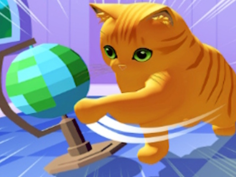 Cat Chaos Simulator