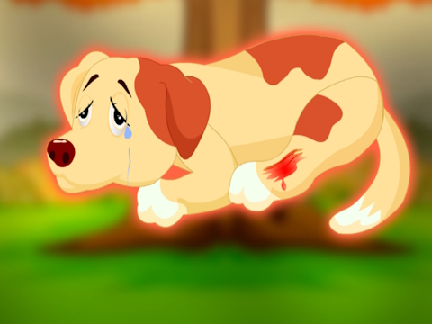 Help to the Injured Pet Dog