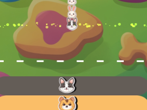 Crazy Animals