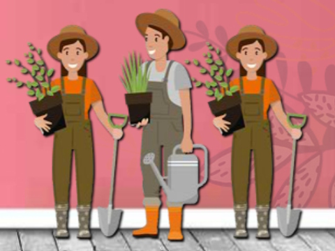 Find Garden Watering Can
