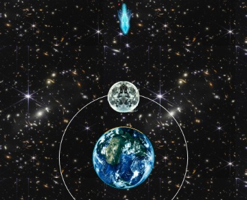 Earth Defender