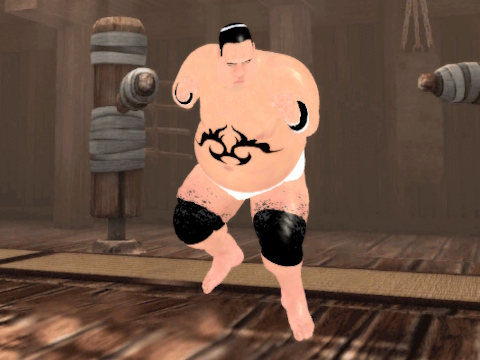 Sumo Fury