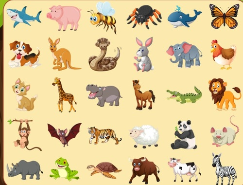 Discover Animals
