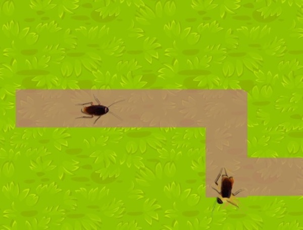 Insect Crusher
