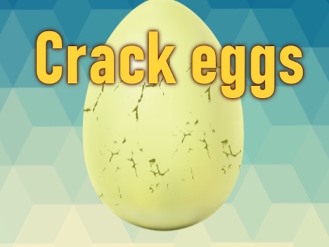 Crack eggs