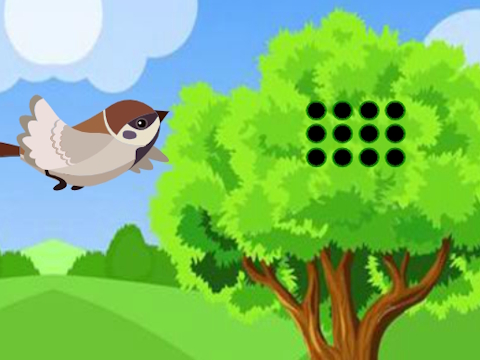 Sparrow Meets Crow Buddies