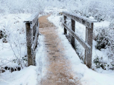 Bridge Winter Snow Jigsaw