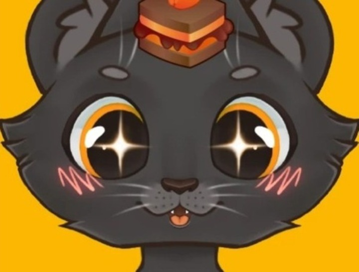 Sweet business of cats: cakes