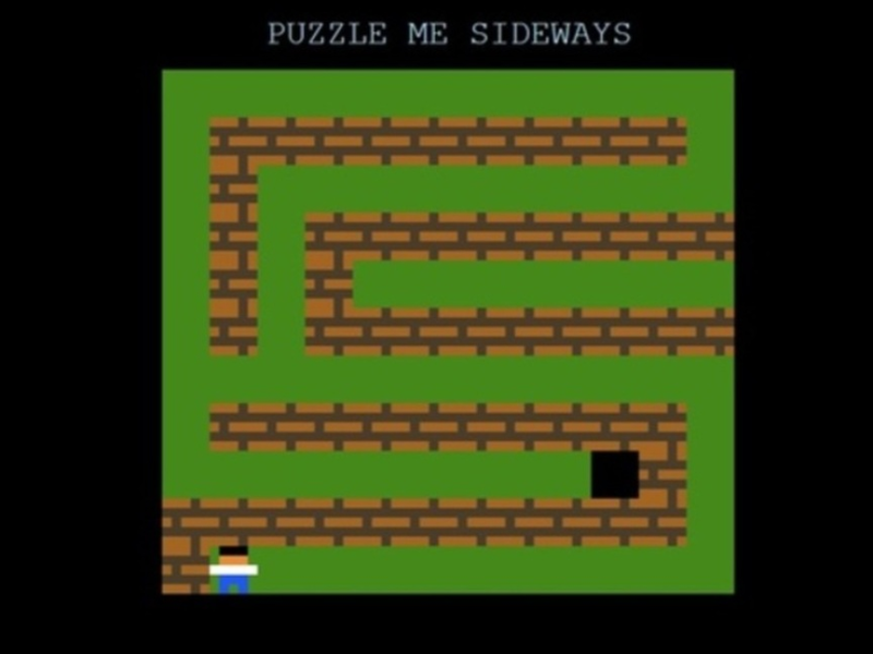 Puzzle Me Sideways