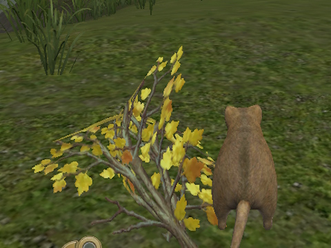Forest Mouse