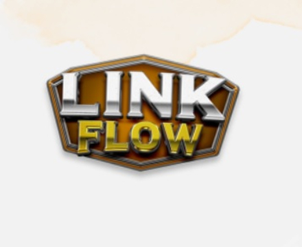 Link Flow