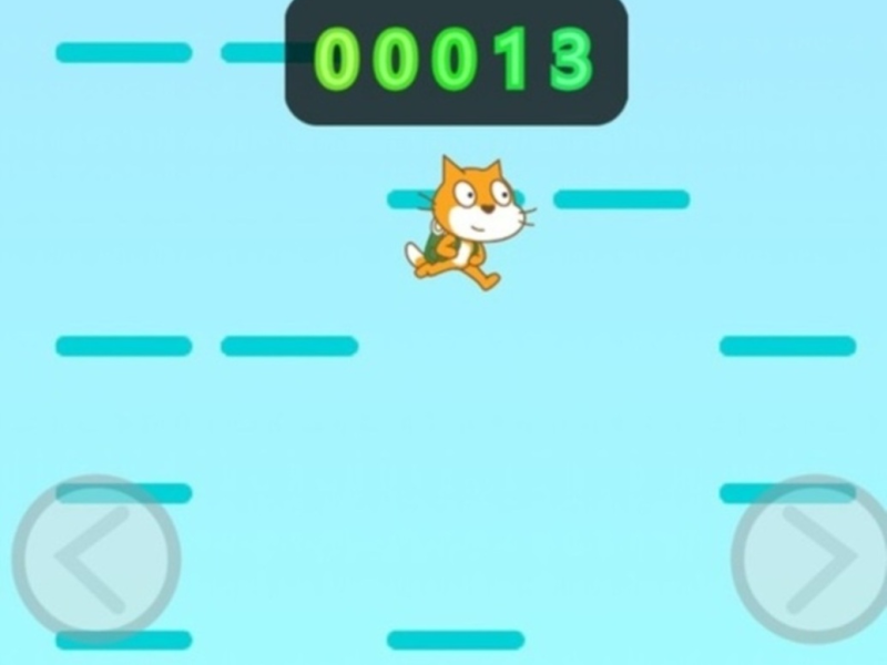 Jumper Cat