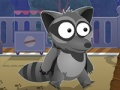 Raccoon's Break Out