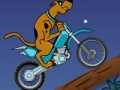 Scooby Doo Trail