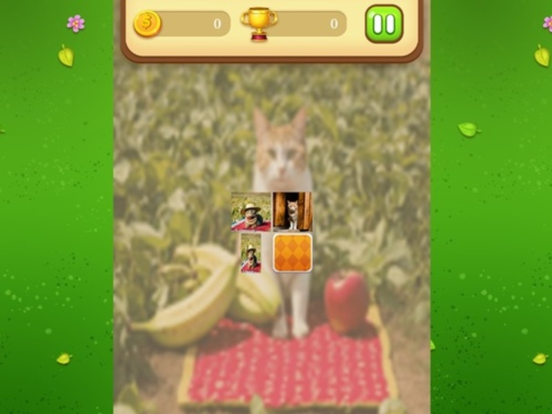 Farm Cat Memory Match