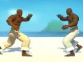 Capoeira fighter