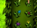 Plants Hate Insect