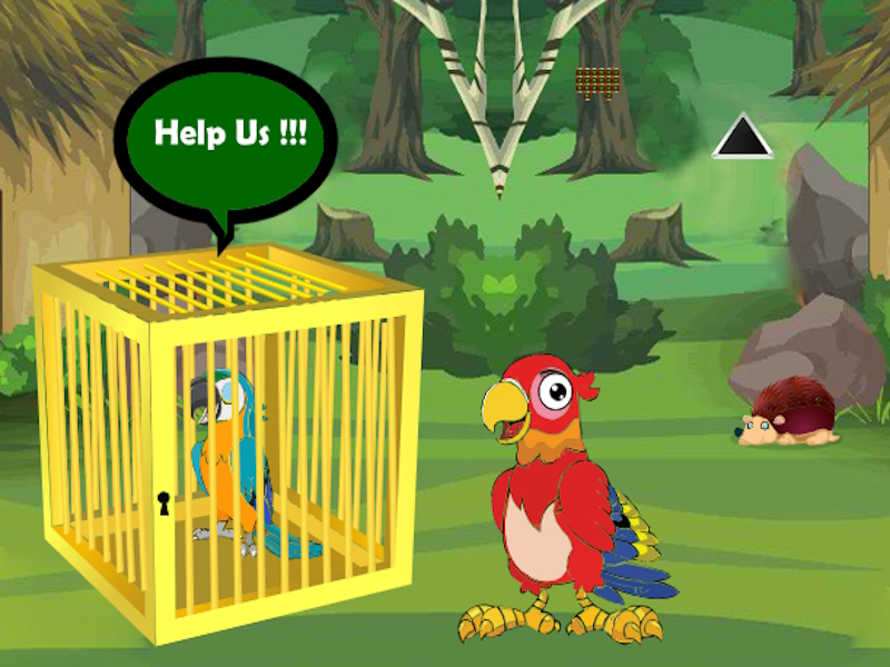 Release Trapped Macaw Buddy