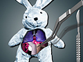 Save The Bunny
