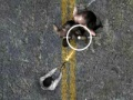 Undead Highway