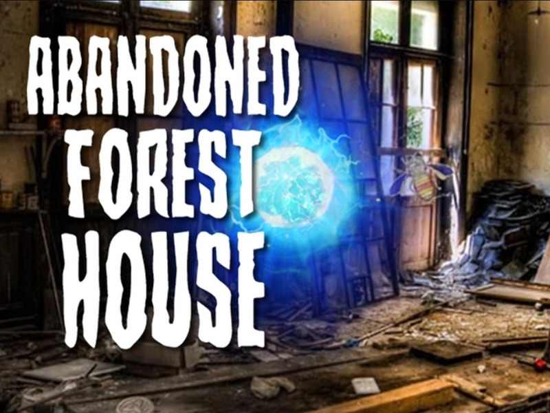 Abandoned Forest House
