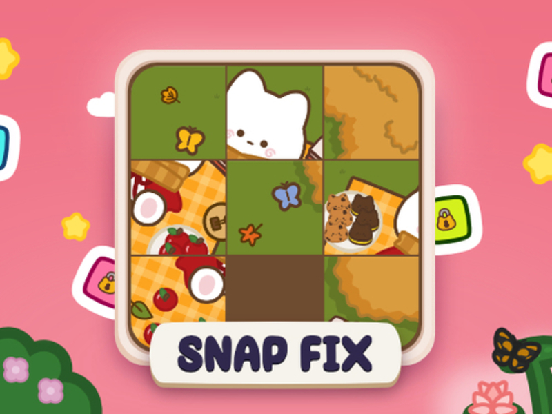 Snap Fix