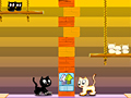 Swing Cat