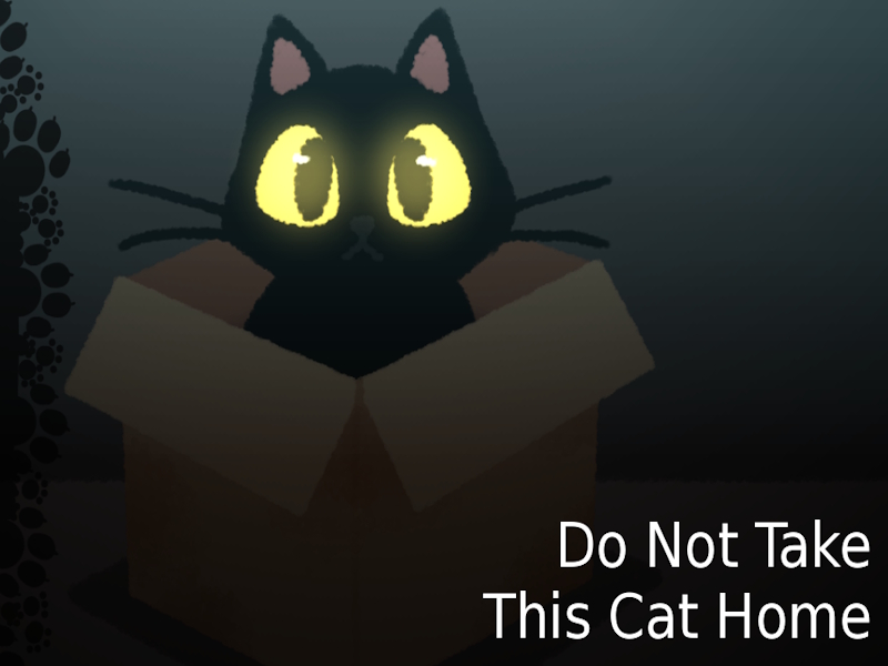 Do NOT Take This Cat Home