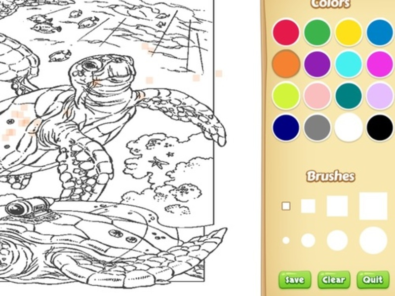 Sea Animal Coloring Book