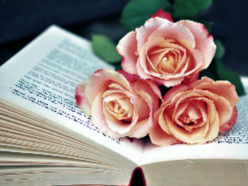 Book of Blooms Jigsaw