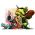Browser strategy online